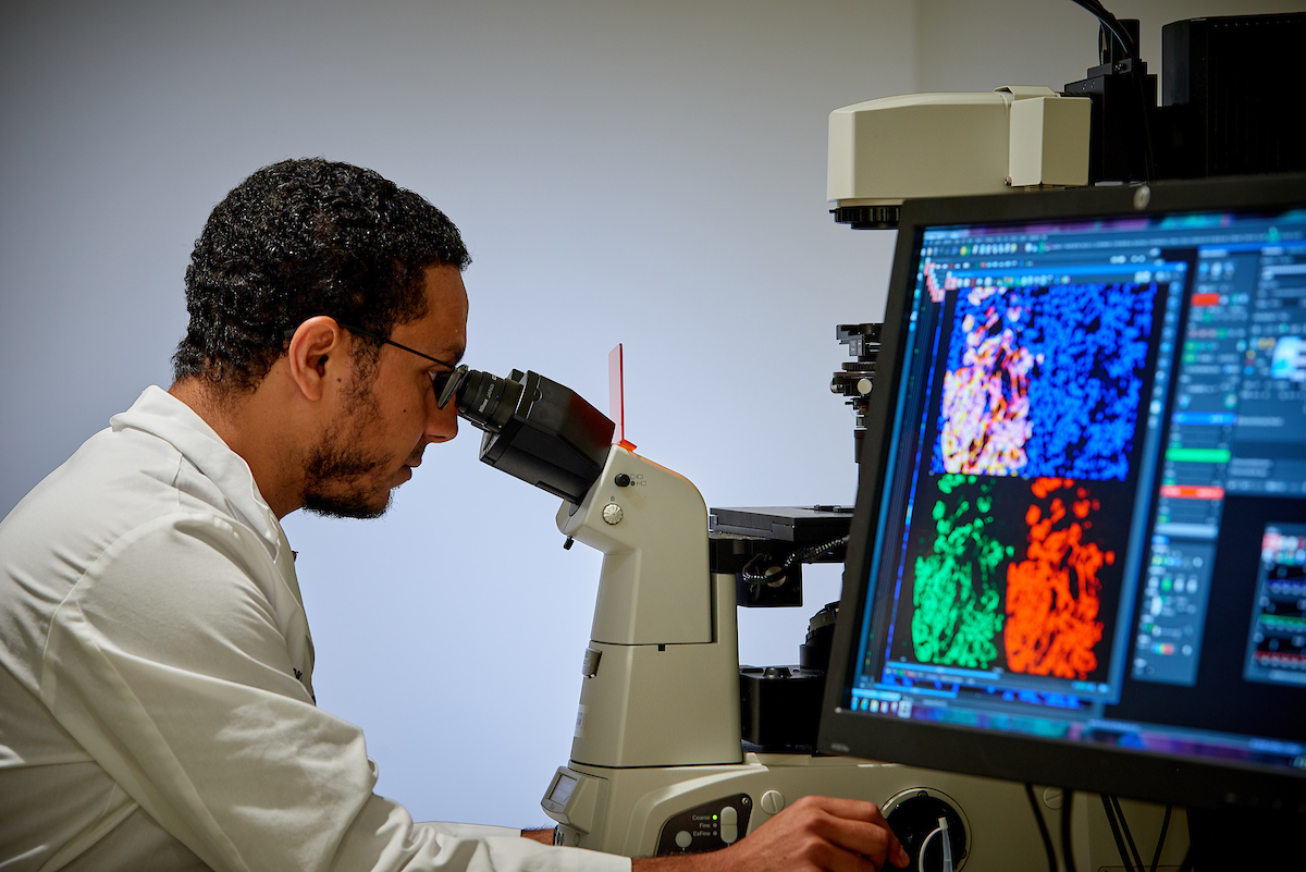 研究人员研究显微镜。