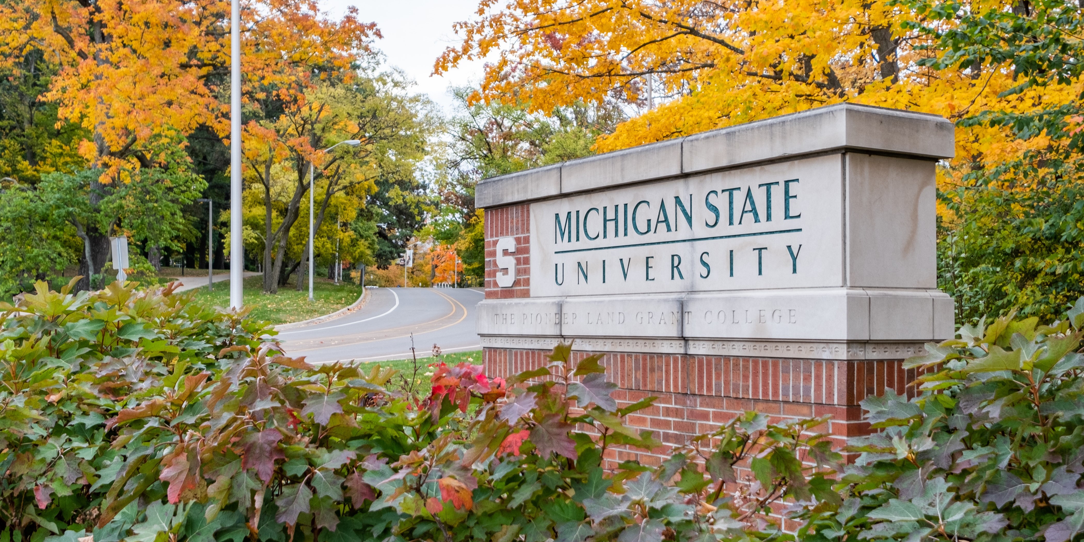 密歇根州立大学签名秋天的叶子